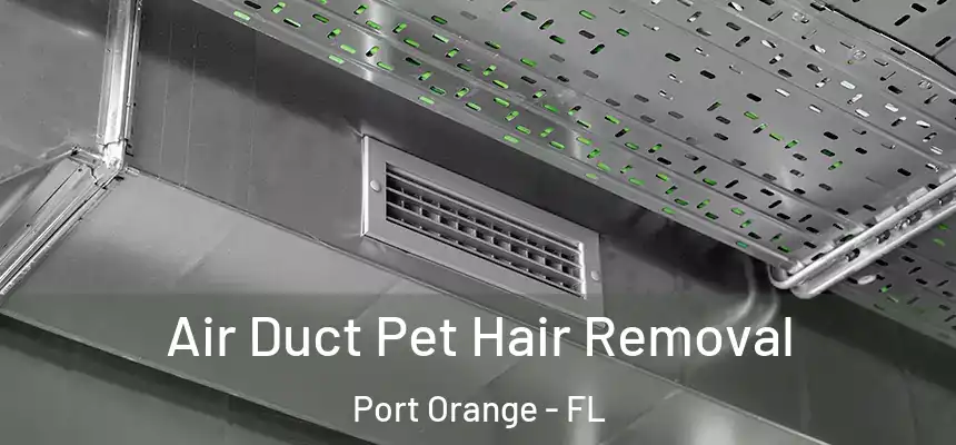Air Duct Pet Hair Removal Port Orange - FL