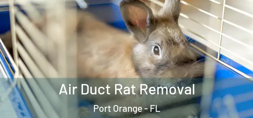 Air Duct Rat Removal Port Orange - FL