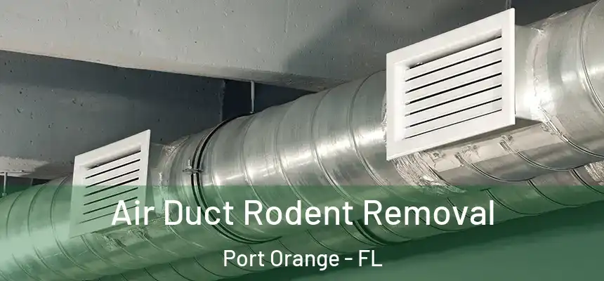 Air Duct Rodent Removal Port Orange - FL