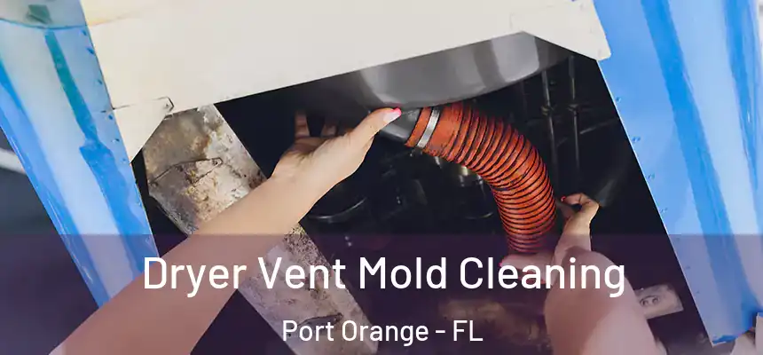 Dryer Vent Mold Cleaning Port Orange - FL