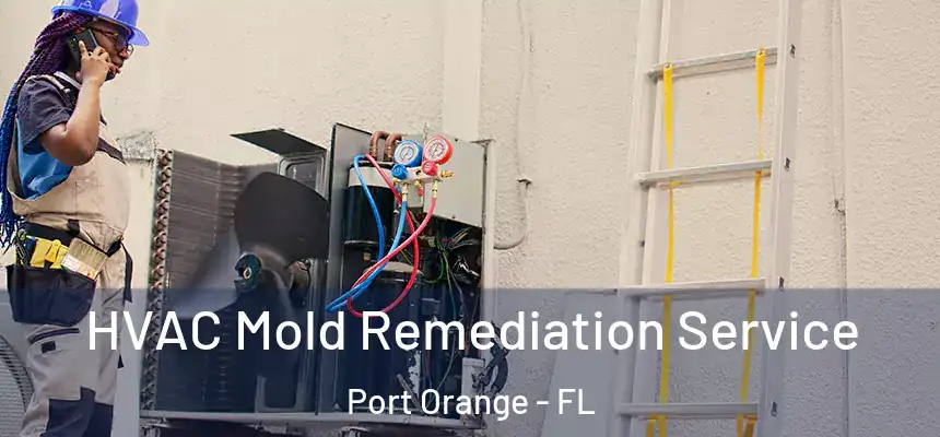 HVAC Mold Remediation Service Port Orange - FL