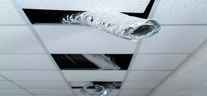 Our Air Duct Pet Hair Removal Services in Port Orange, FL