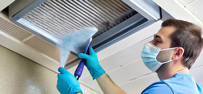 Proactive Dryer Vent & Auxiliary Duct Pollen Cleanup in Port Orange, FL