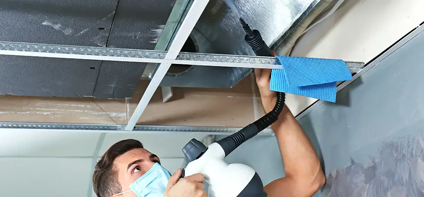 Our Air Duct Rodent Removal Services in Port Orange, FL