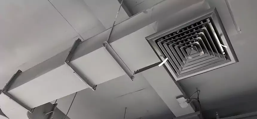 Restorative Allergy Relief Vent Cleaning – Coil, Blower & Housing Detail in Port Orange