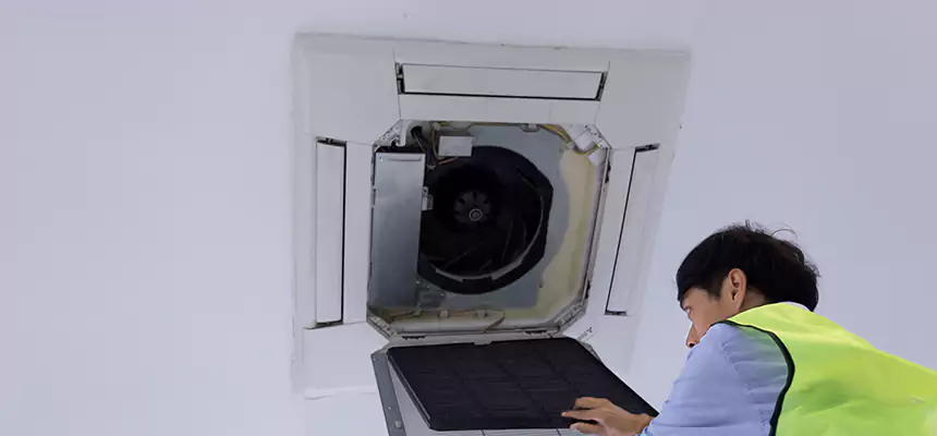 Our Dryer Vent Sanitization Service Services in Port Orange, FL
