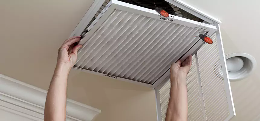 Our Insect Removal from Air Ducts Services in Port Orange, FL
