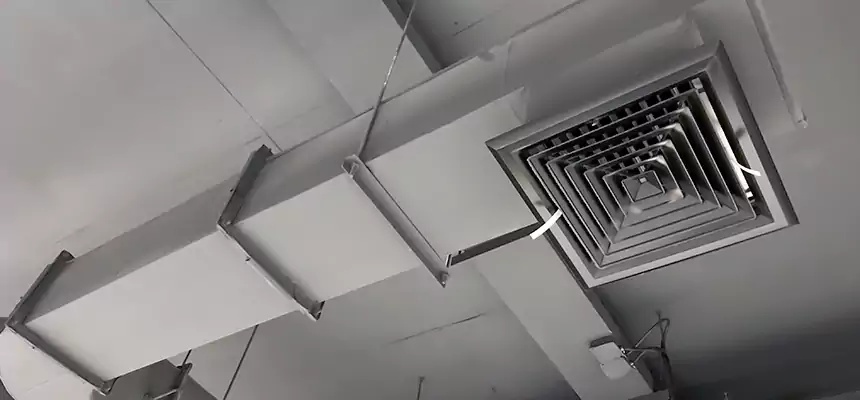 Our Pest Removal From Ducts Services in Port Orange, FL