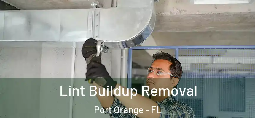 Lint Buildup Removal Port Orange - FL