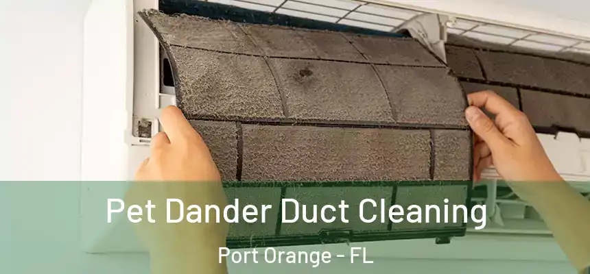 Pet Dander Duct Cleaning Port Orange - FL