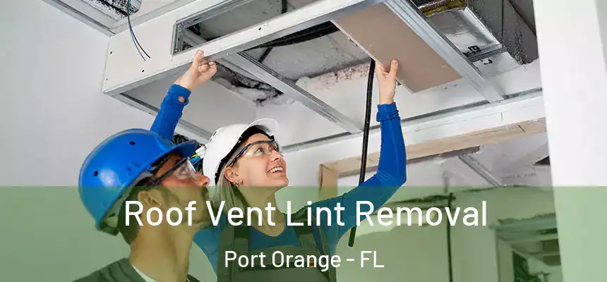 Roof Vent Lint Removal Port Orange - FL