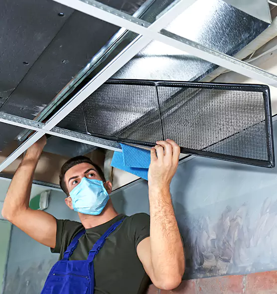 About Air Duct Bacteria Removal in Port Orange