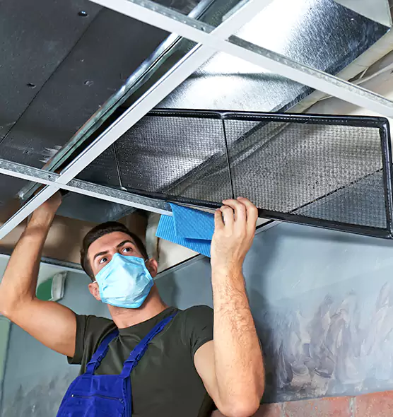 Professional Air Duct Pollen Cleaning in Port Orange, FL