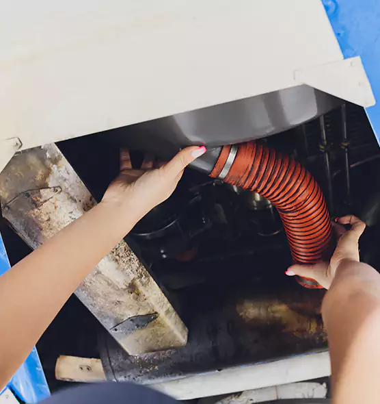 About Air Duct Virus Disinfection in Port Orange, FL