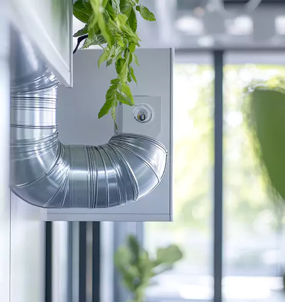 Professional Eco-Friendly Duct Cleaning Services in Port Orange, FL