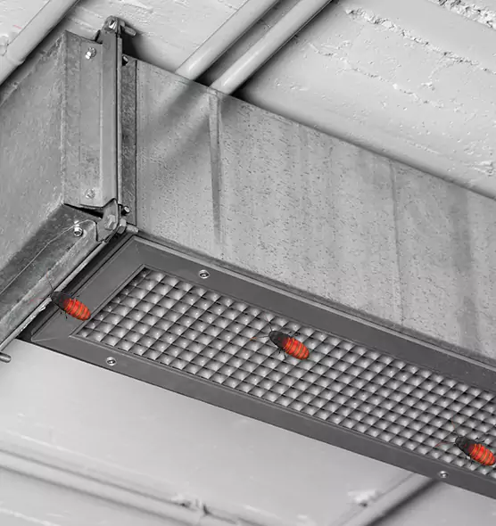 Affordable Insect Removal from Air Ducts in Port Orange, FL