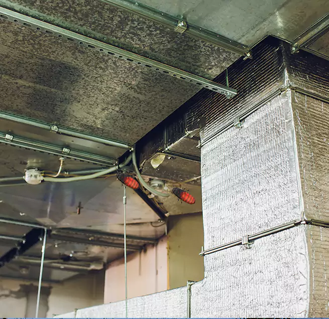 Why Homeowners & Businesses Trust Us in Port Orange, FL?