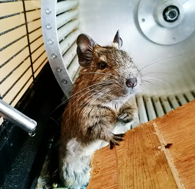 Why Homeowners & Businesses Trust Us Port Orange, FL