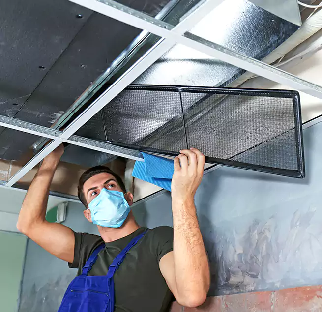 Why Homeowners Businesses Trust Us in Port Orange, FL