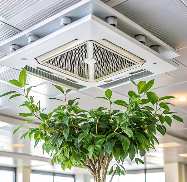 Why Homeowners & Businesses Trust Us in Port Orange, FL?