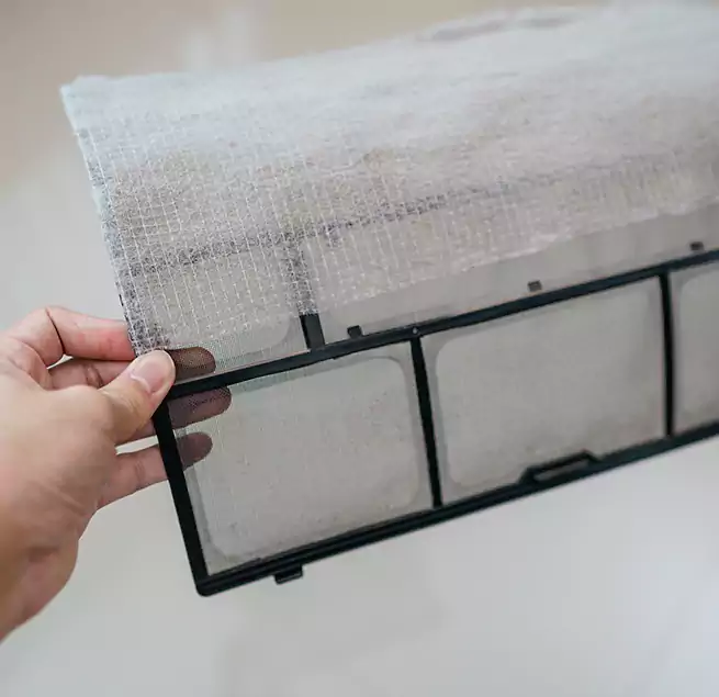 Why Homeowners & Businesses Trust Us in Port Orange, FL?