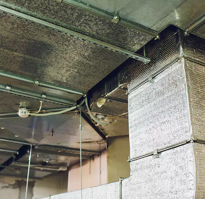 Why Homeowners & Businesses Trust Us in Port Orange, FL?